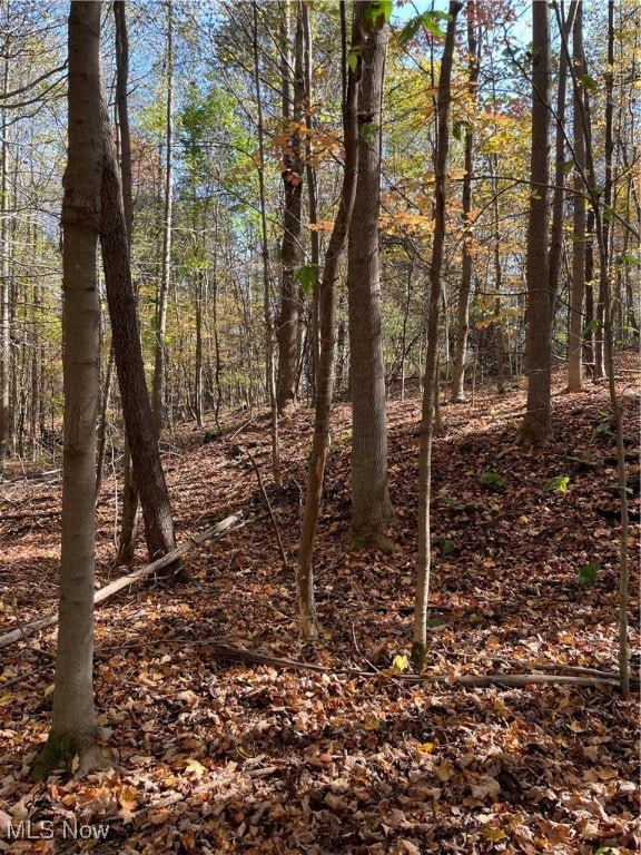 S/L 5 Ridge, Chardon, OH 44024 - photo 2