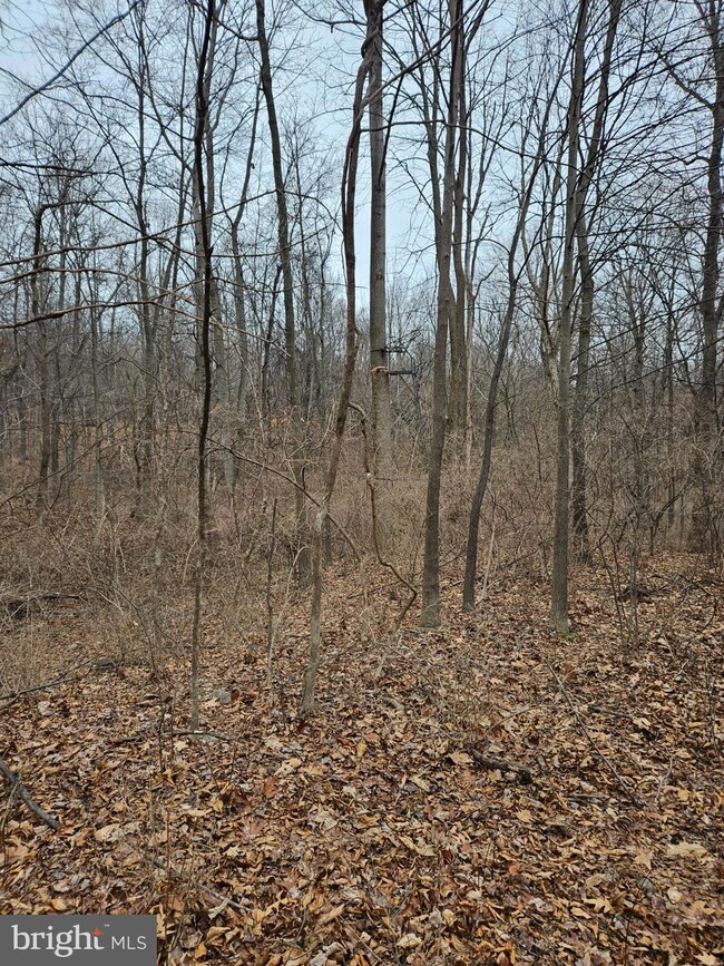 953 Apple Way, Saint Thomas, PA 17252 - photo 3