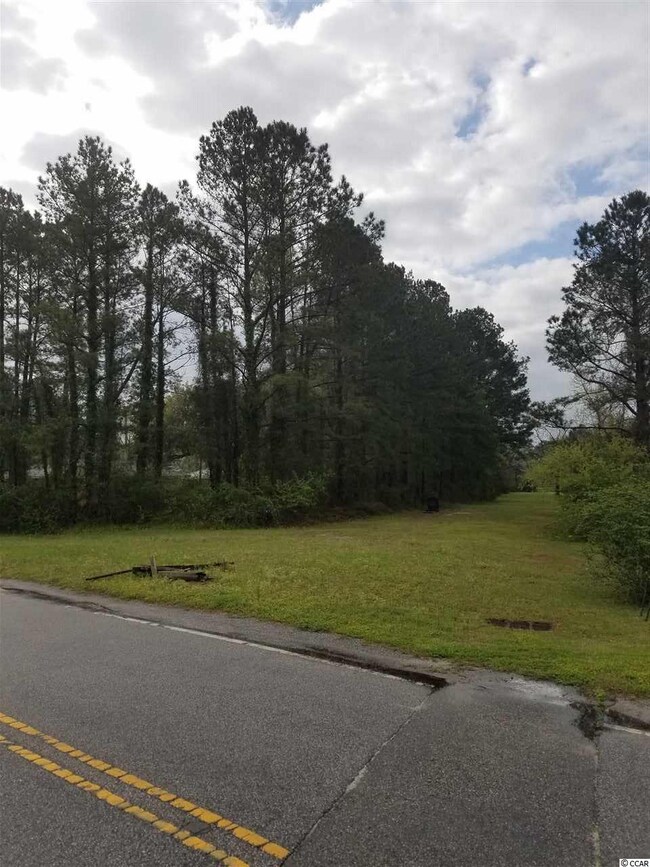 Tortoise Drive View