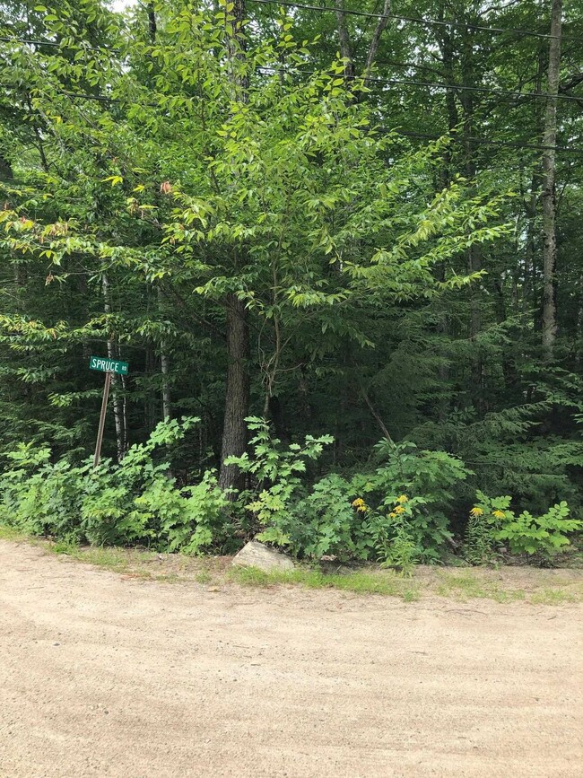 0 Gary & Spruce Rd, Middleton, NH 03887 - photo 4