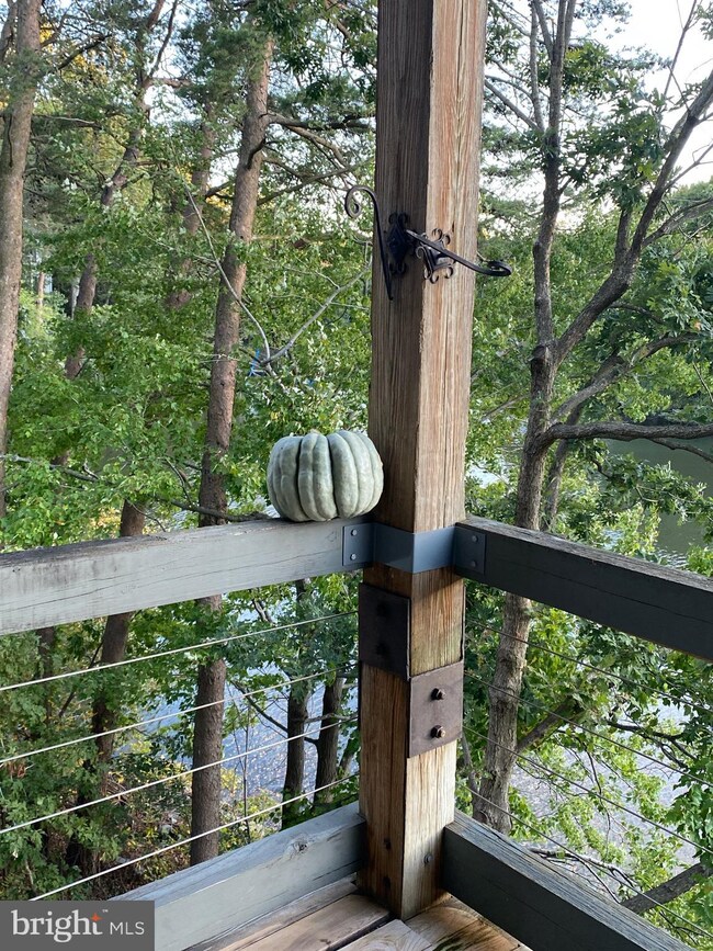 13 Spa Creek Landing unit 13A2, Annapolis, MD 21403 - photo 6