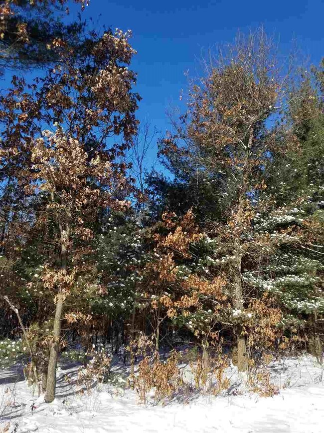 ON Cypress Ave unit Meteor 8314-2, Friendship, WI 53934 - photo 2