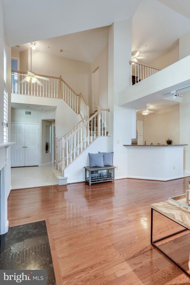 7023K Haycock Rd, Falls Church, VA 22043 - photo 7