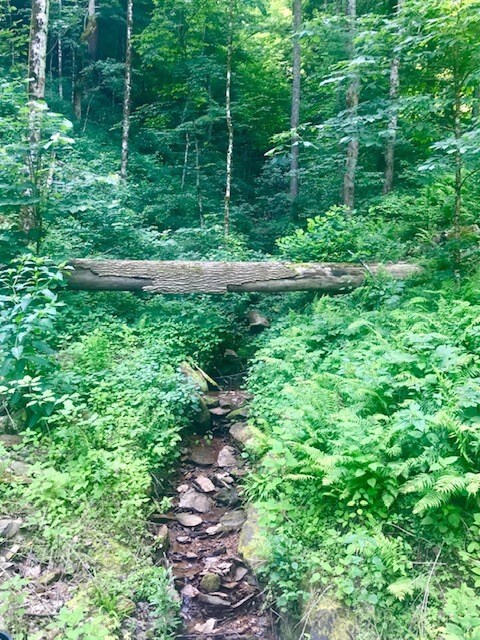 Beautiful Stream