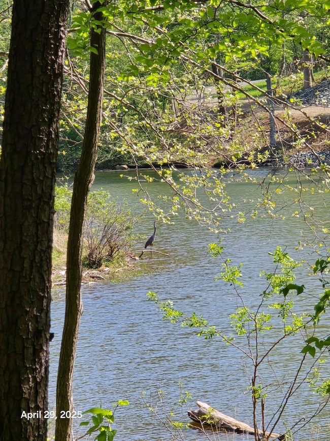 LOT 94 SERENE SETTING