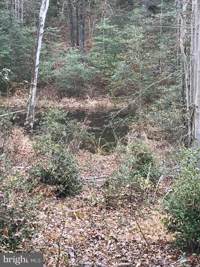 6120 Mt Airy Dr, Ruther Glen, VA 22546 - photo 6