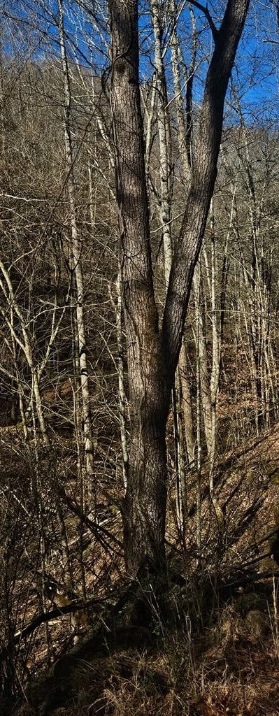 TBD Garrett Creek Rd, Abingdon, VA 24210 - photo 3