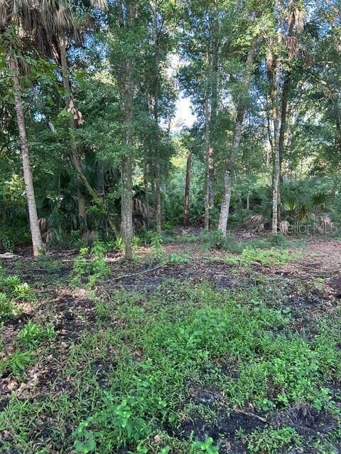 unlisted-address, Sanford, FL 32773 - photo 7