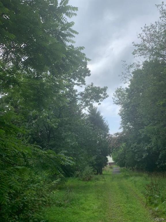 6586 Pa Route 873, Slatington, PA 18080 - photo 5