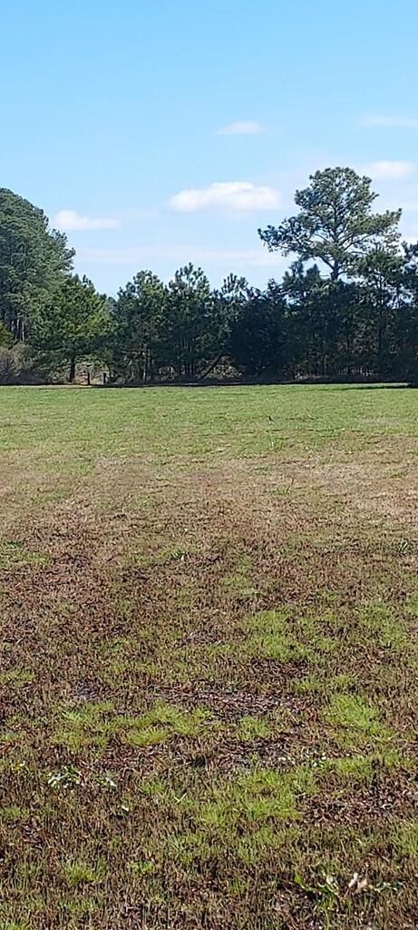 Lot 3 Wingapo Ln unit 3, Hacksneck, VA 23358 - photo 2