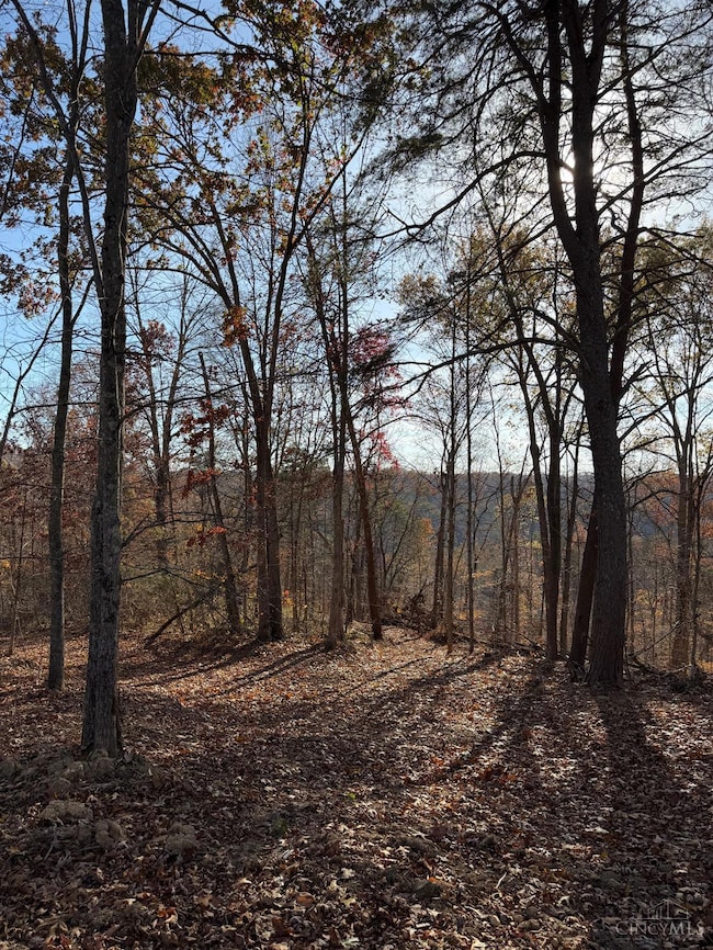 0 Ohio 775, Willow Wood, OH 45696 - photo 4