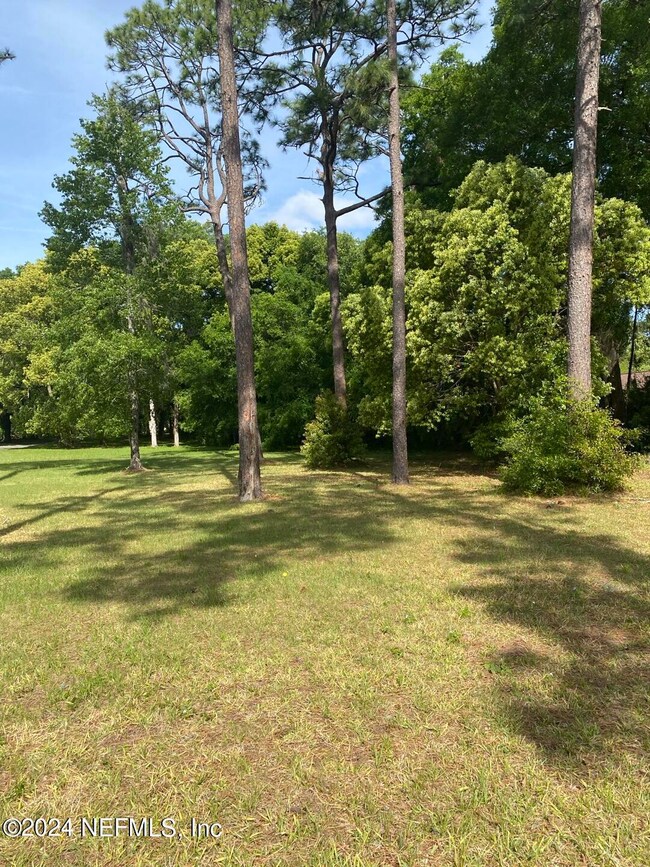 2115 Forest Blvd, Jacksonville, FL 32246 - photo 5