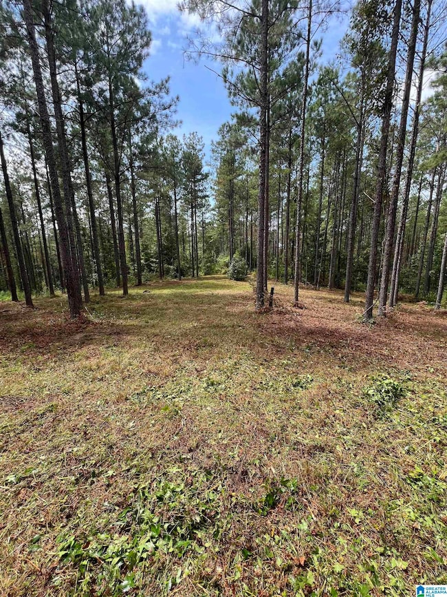 740 Sweet Apple Rd unit 1, Cropwell, AL 35054 - photo 5