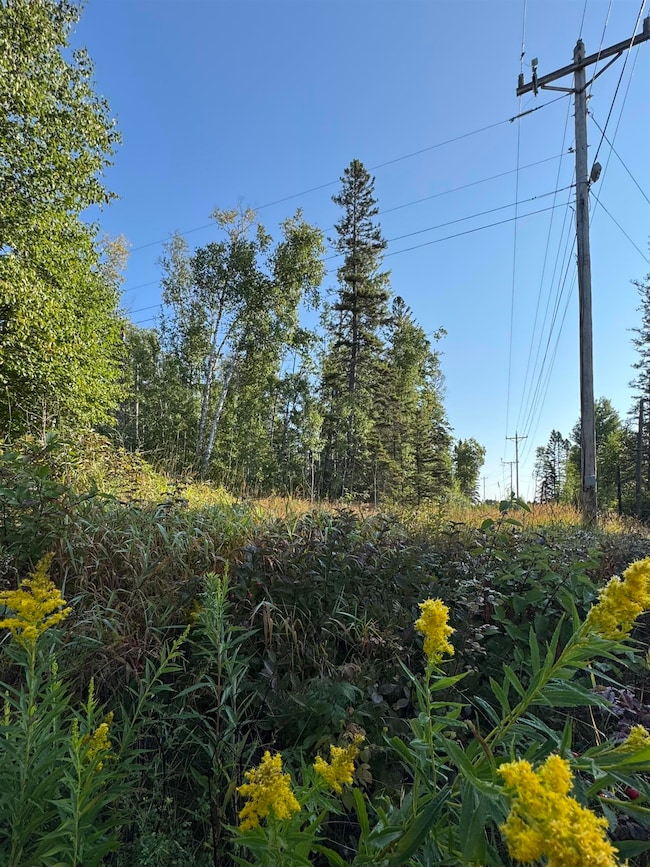 5361 W Highway 61 unit & XXX Railroad Dr, Lutsen, MN 55612 - photo 7