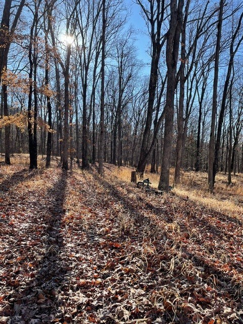 0 Tbd unit 1263583, Crosses, AR 72727 - photo 7