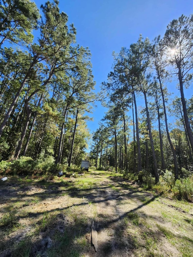 402 Smokehouse Lake Rd, Other, FL 00000 - photo 4