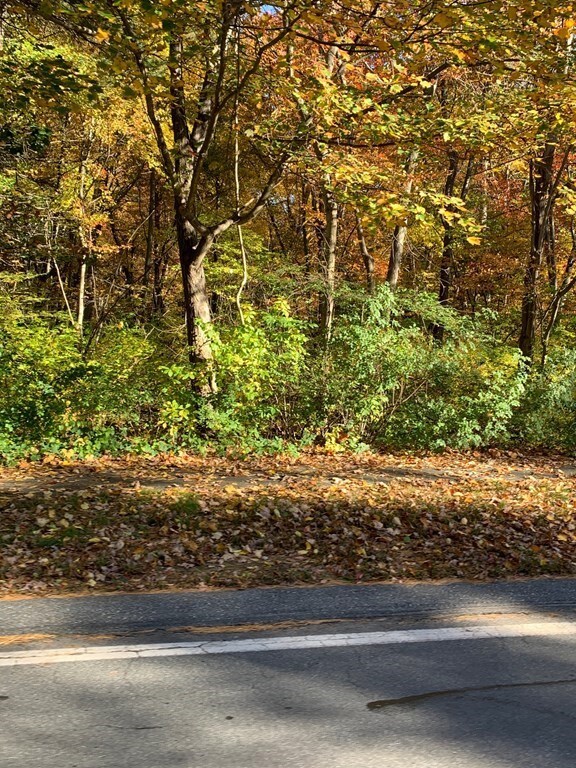 67 Forest St, Wilmington, MA 01887 - photo 4