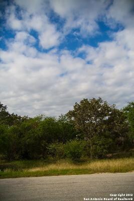 3803 Wilderness Elm, San Antonio, TX 78261 - photo 3