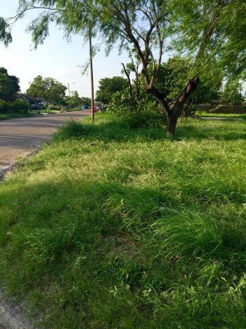 703 Fordyce Ave, Donna, TX 78537 - photo 4