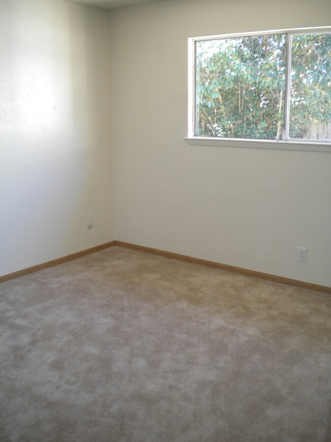 3536 Shasta Dam Blvd, Shasta Lake, CA 96019 - photo 7