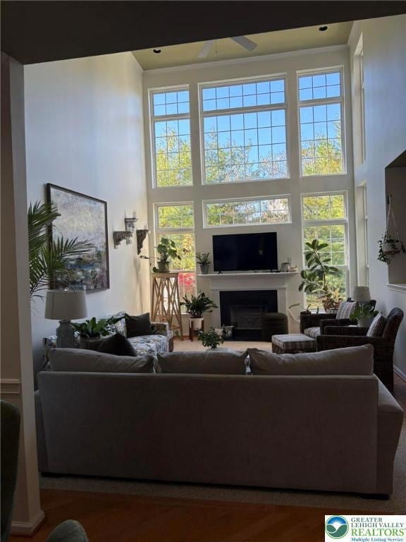 4005 Page St, Allentown, PA 18104 - photo 6