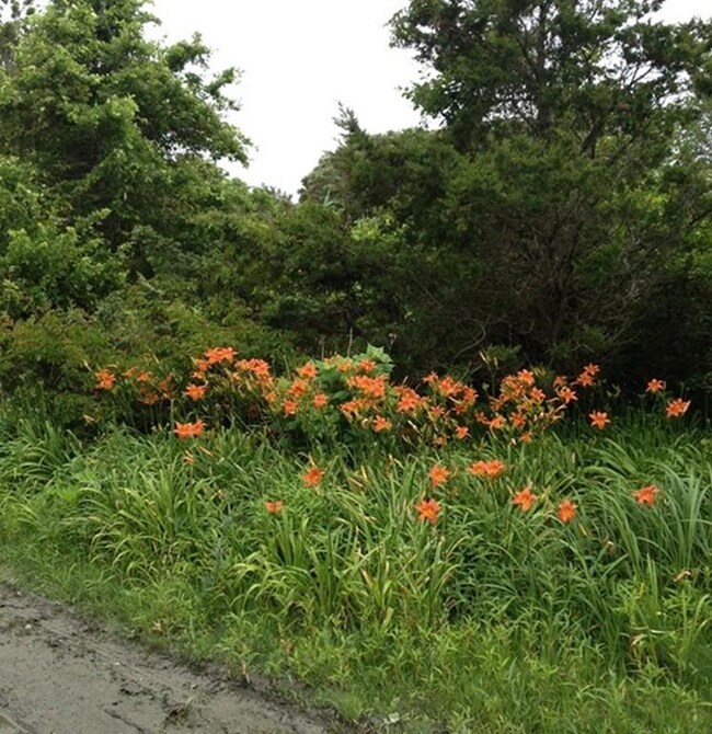 0 Mattakiset Rd, Mattapoisett, MA 02739 - photo 2