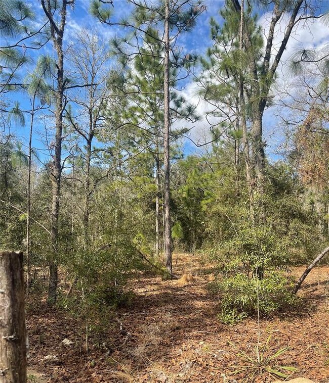 Lot #8 SE 73rd Place, Morriston, FL 32668 - photo 3