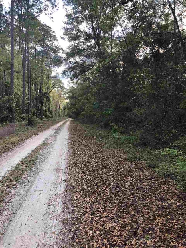 0 Noles Ln unit 1, Crawfordville, FL 32327 - photo 6