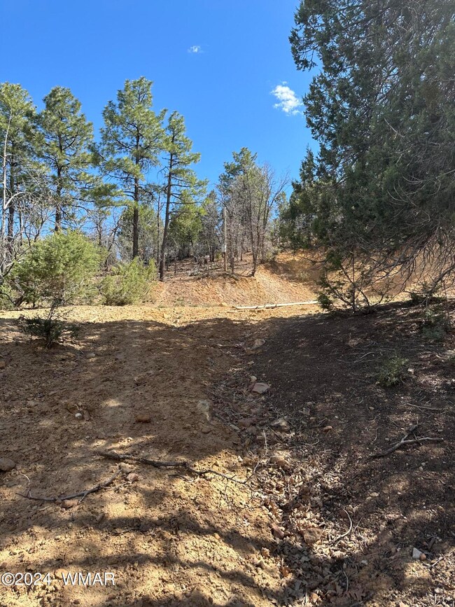 IMG_4651_Coming up Driveway