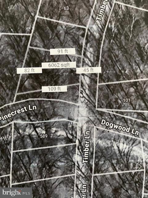 0 Lot 17a1 Timber Ln, Bluemont, VA 20135 - photo 2