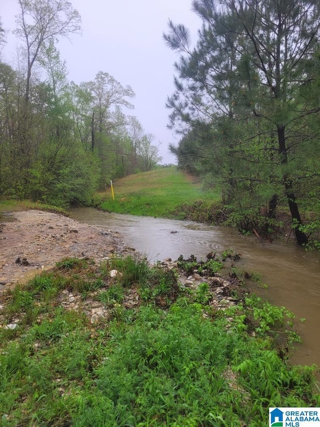 755 Pine Ridge Rd, Sylacauga, AL 35151 - photo 3