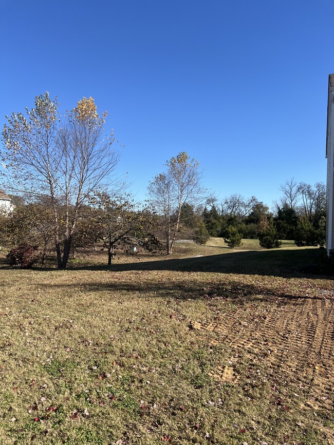 Level Area for Entertaining