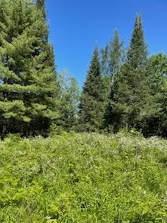 Lt1 U S Highway 51, Harshaw, WI 54529 - photo 7