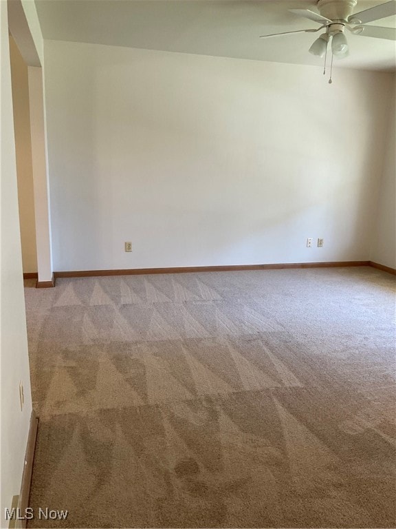 1828 Basil Ave, Youngstown, OH 44514 - photo 5