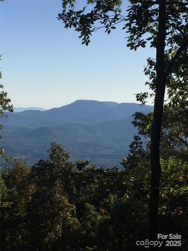 00 Morning Ride Dr unit 38, Columbus, NC 28722 - photo 6