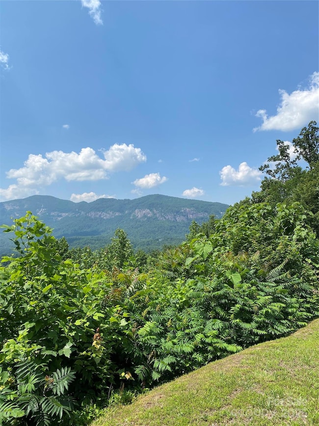 0 Winesap Blvd unit 81 CAR4297611, Lake Lure, NC 28746 - photo 7