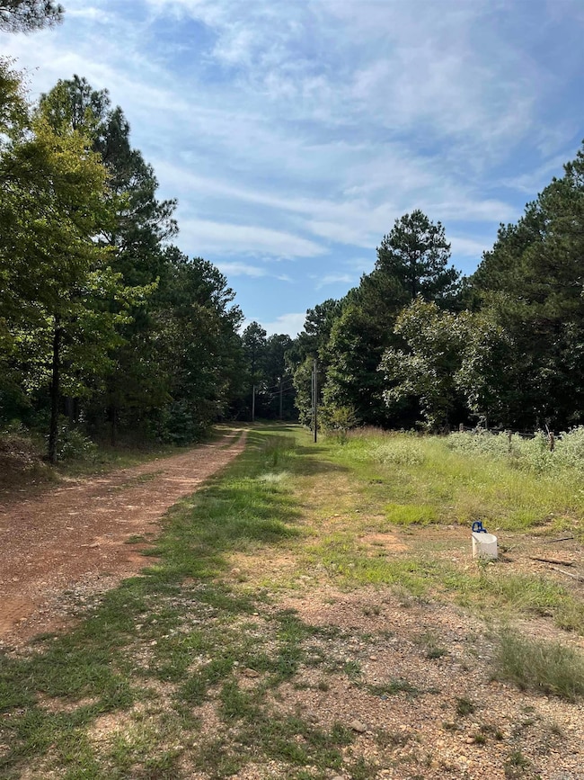 84 N Old Factory Site Rd, Murfreesboro, AR 71958 - photo 6