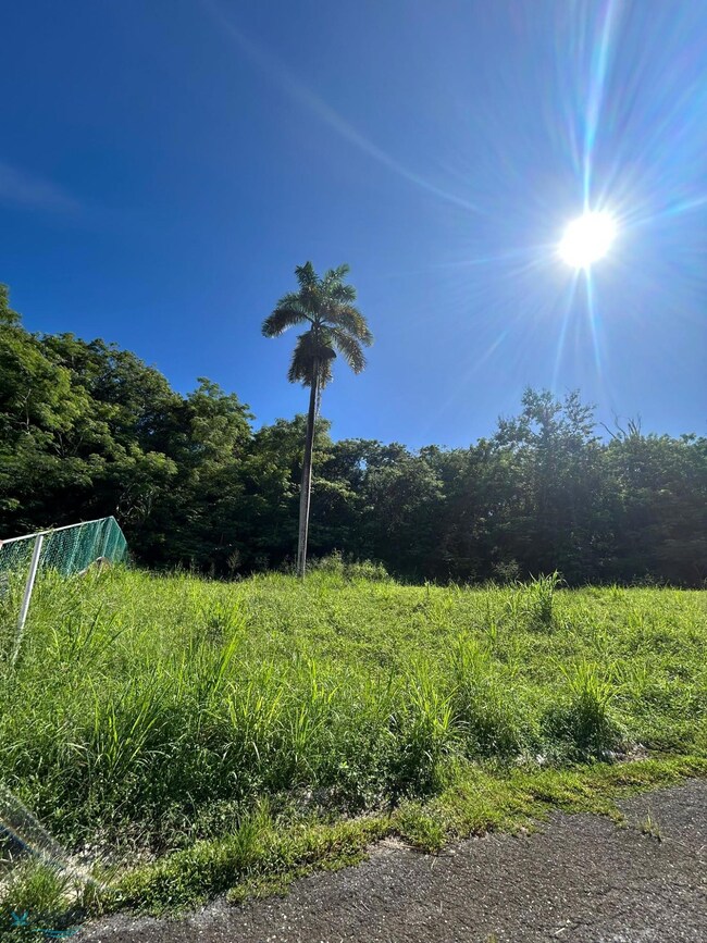 10 Carr 412 Solar D-, Rincon, PR 00677 - photo 3