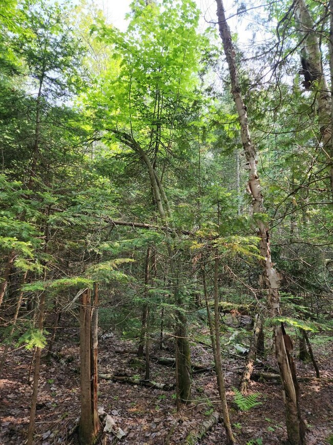 image000002 (2)