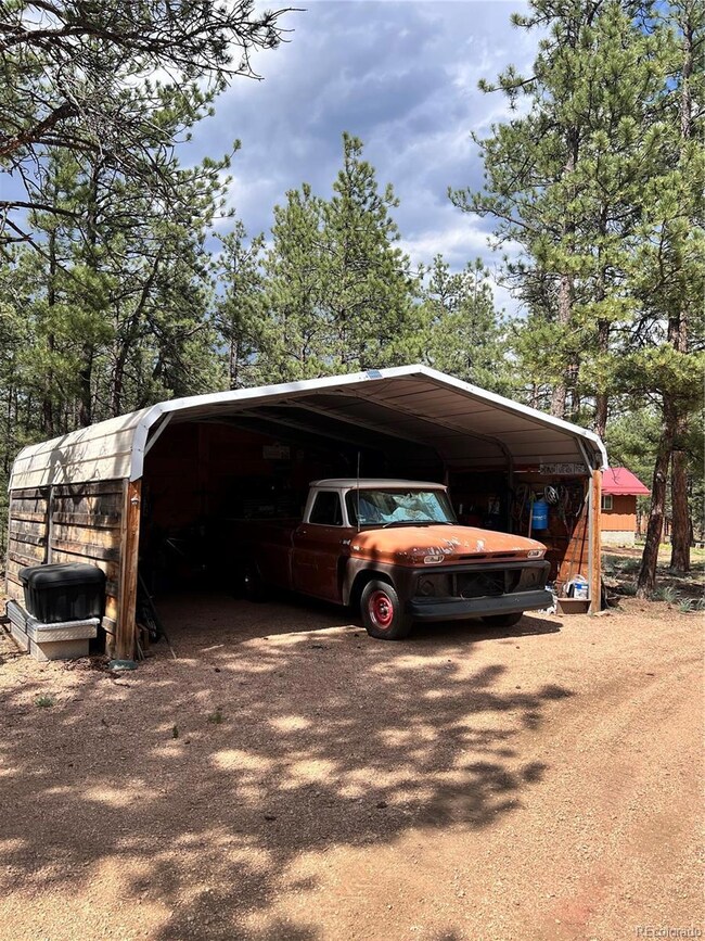 434 Blue Mountain Dr, Florissant, CO 80816 - photo 3
