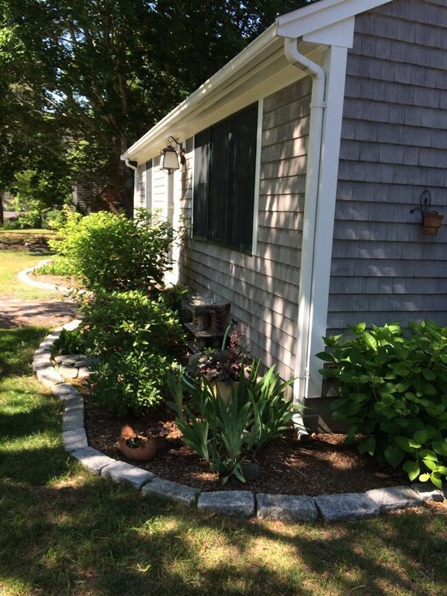 Additional Photo