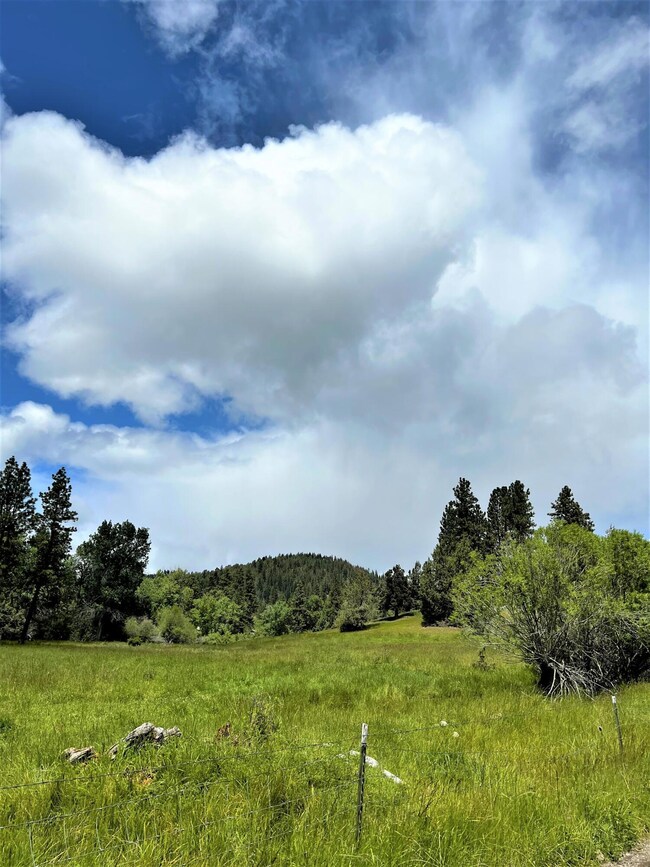 31275 Dixie Creek Rd, Prairie City, OR 97869 - photo 6