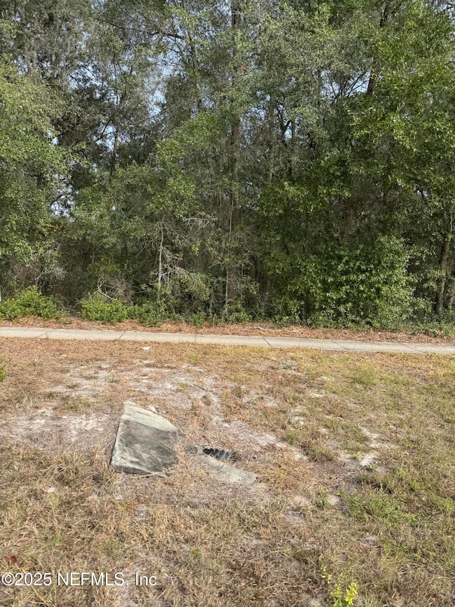1682 U S 17, Pomona Park, FL 32181 - photo 2