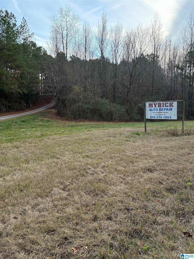 0 Alabama 160 unit 21437600, Hayden, AL 35079 - photo 6