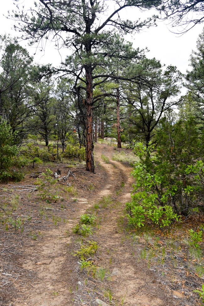 walking trail along the top