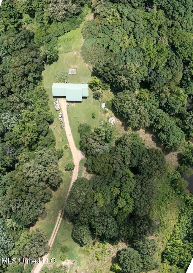 247 Sandy Branch Rd, Sarah, MS 38665 - photo 2