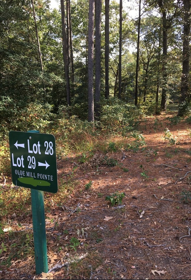LOT 29 Olde Mill Ln unit 29, New Church, VA 23415 - photo 2
