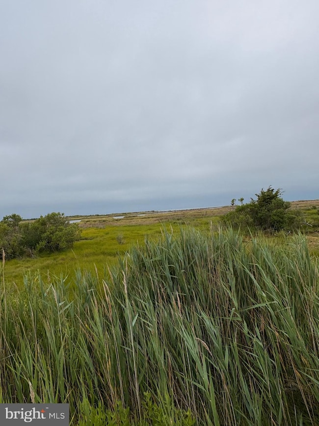 3411 Marsh Rd, Ewell, MD 21824 - photo 7