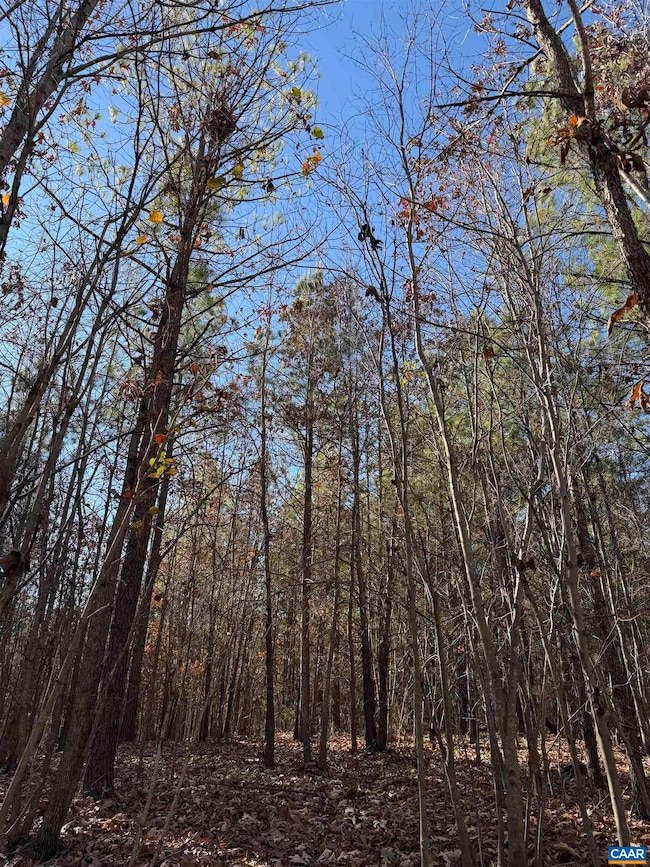 TBD Union Hill Dr, Wingina, VA 24599 - photo 5