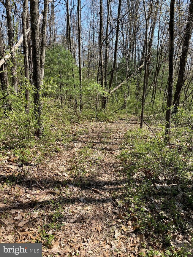 0 Bear Creek Rd unit PASK2005134, Schuylkill Haven, PA 17972 - photo 2